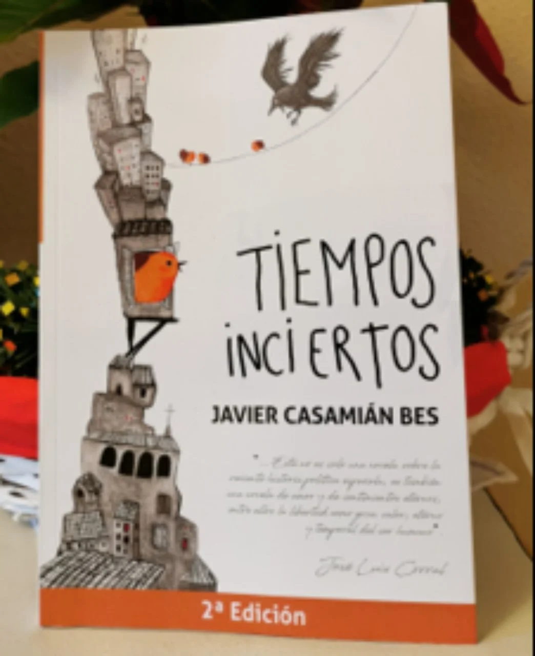 TIEMPOS INCIERTOS - Javier Casamián