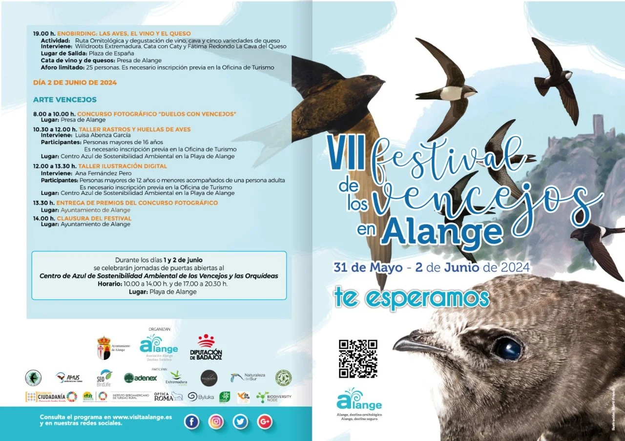 VII Festival de los Vencejos 2024 en Alange