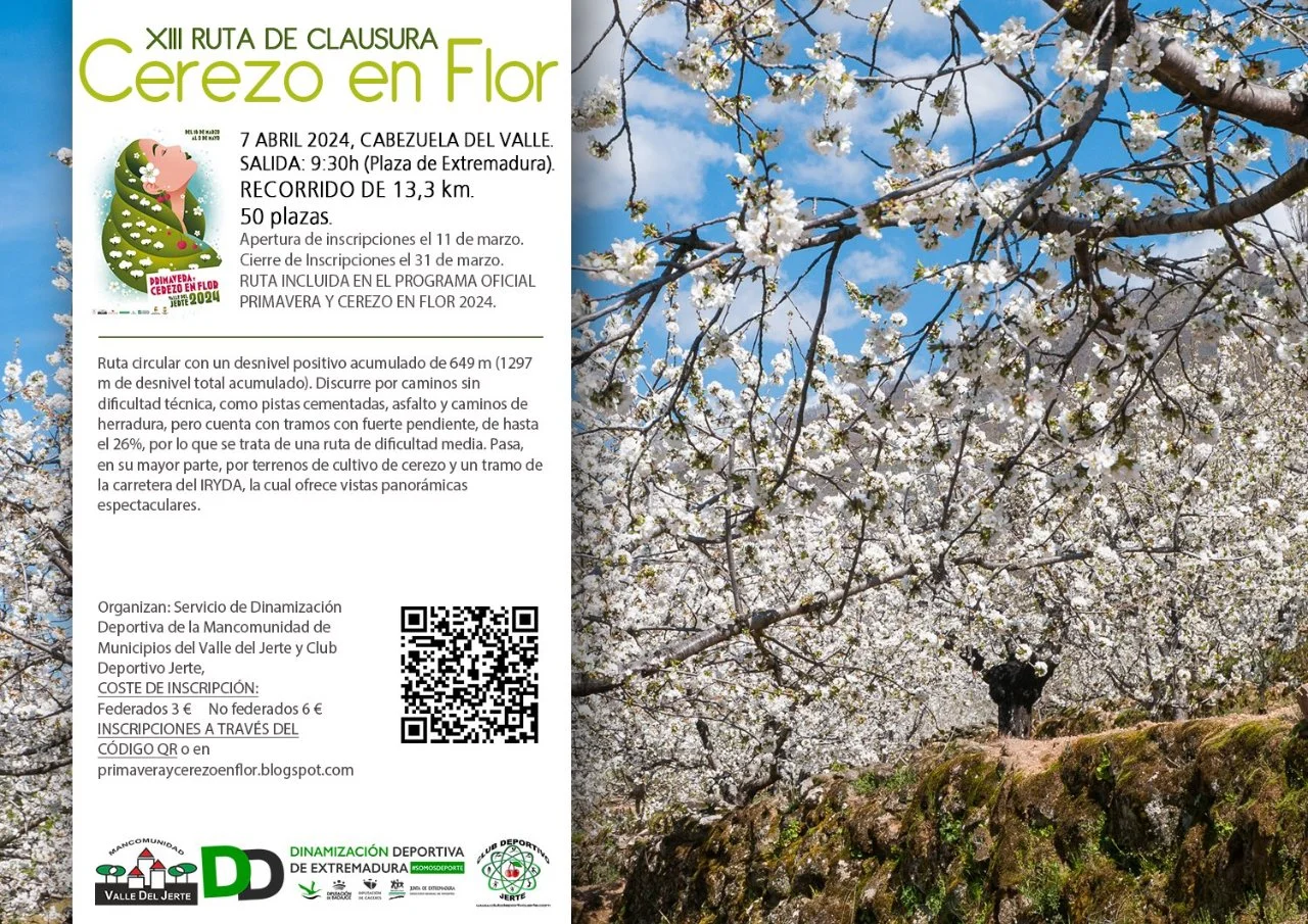 XIII Ruta de clausura del Cerezo en Flor 2024 en Cabezuela del Valle