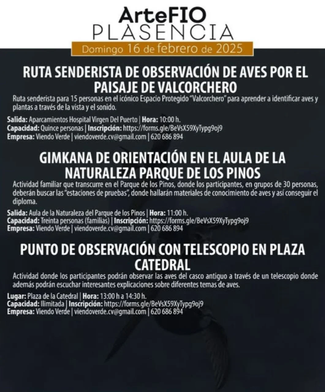 ArteFIO en Plasencia