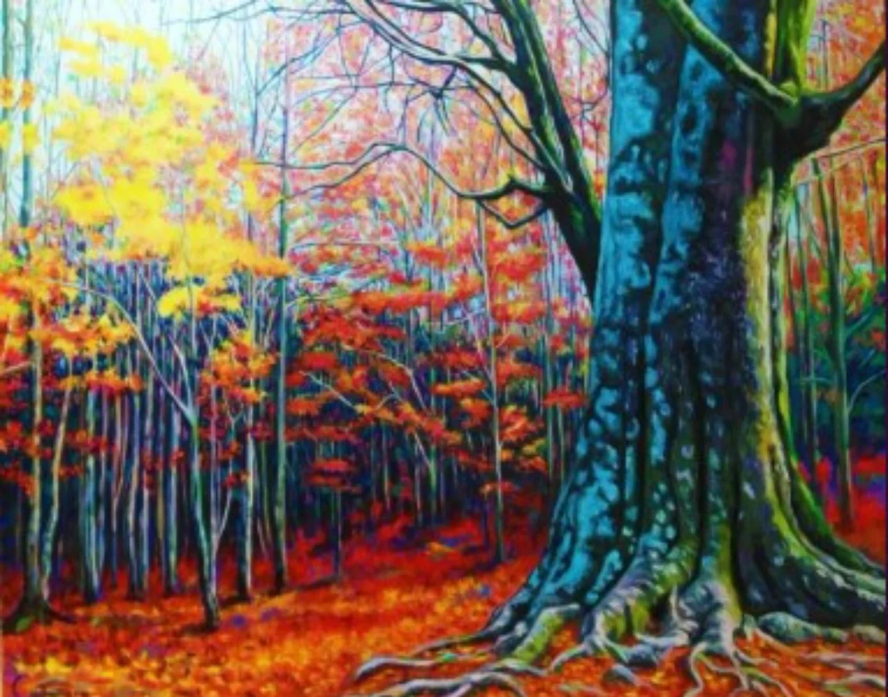 Exposición Color de otoño, de Jorge Castañera en Plasencia
