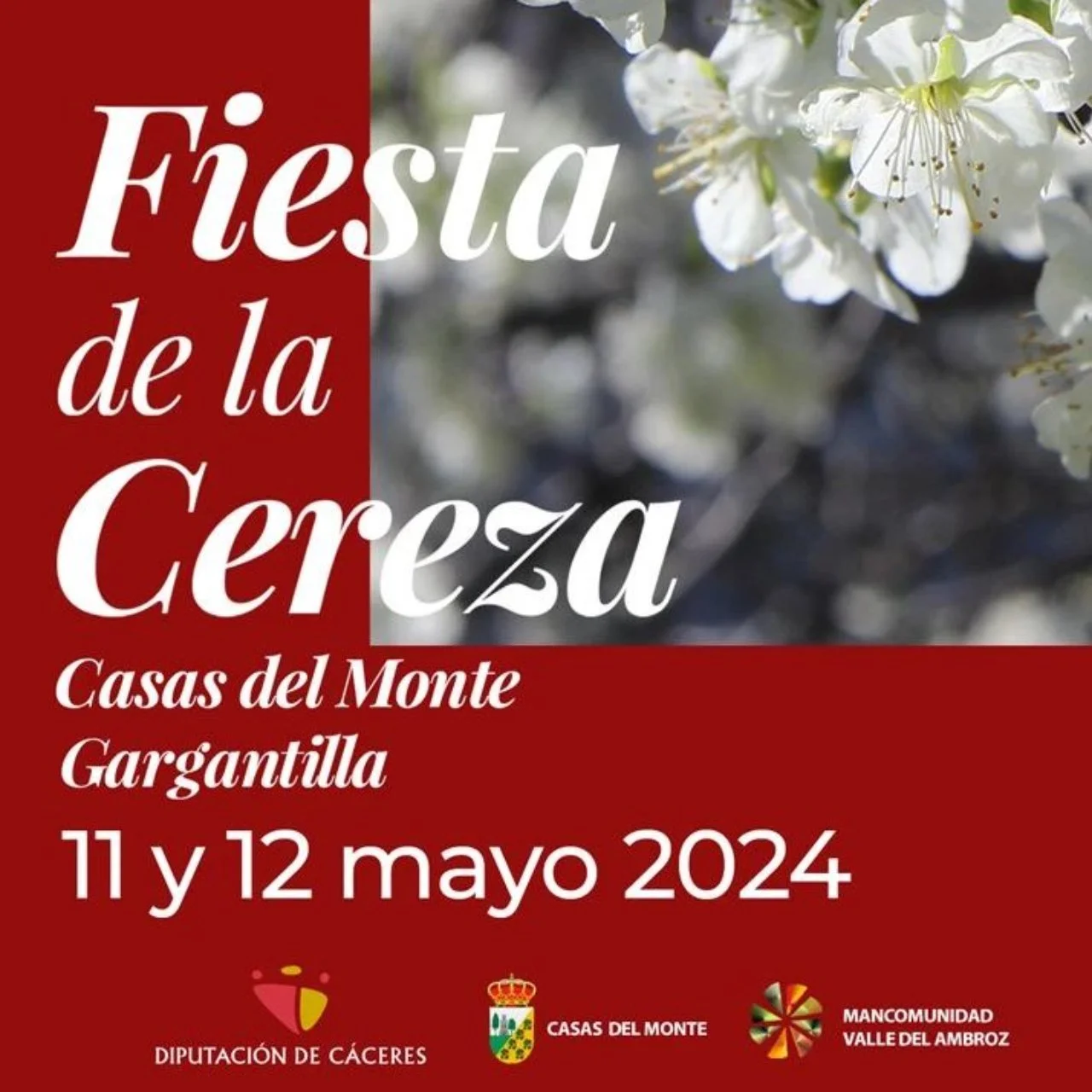 Fiesta de la Cereza en Casas del Monte y Gargantilla