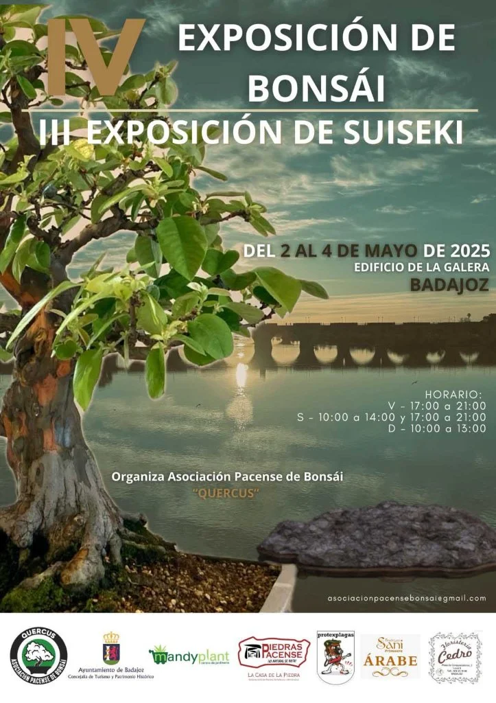 Exposición de Bonsái 2025 en Badajoz